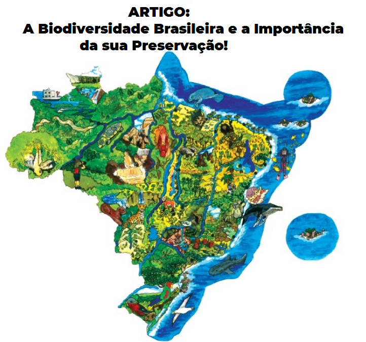 Artigo